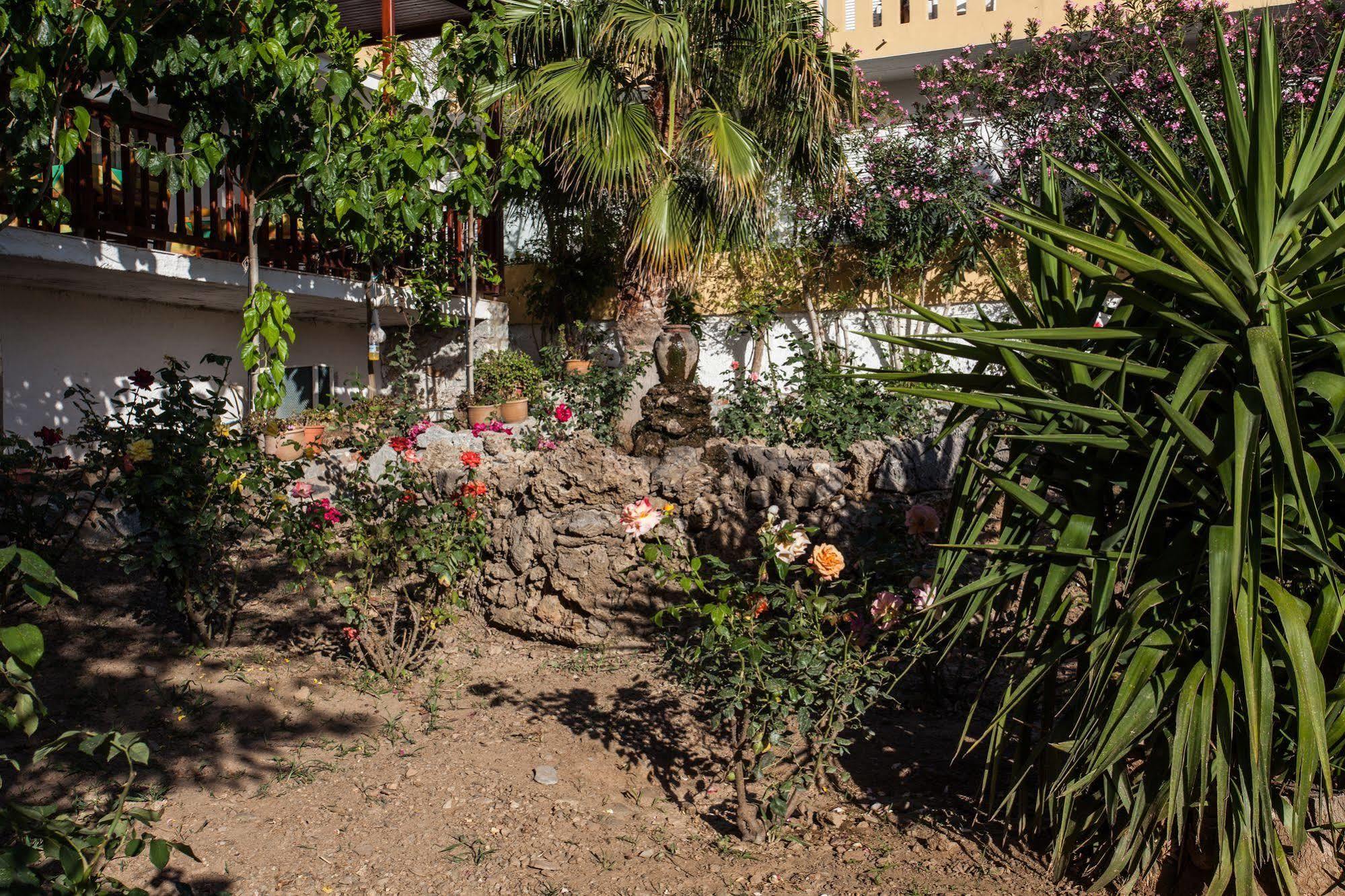 דמנוני Ammoudi Hotel מראה חיצוני תמונה